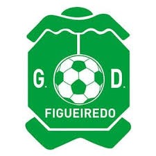 G. D. Figueiredo